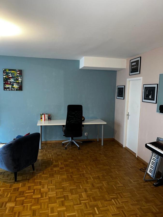 Beautiful Large Studio In Center Of Geneva Free Wifi公寓 外观 照片