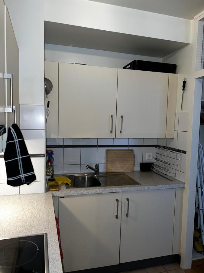 Beautiful Large Studio In Center Of Geneva Free Wifi公寓 外观 照片