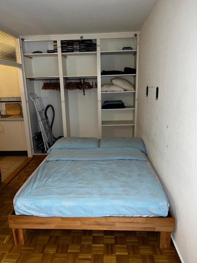 Beautiful Large Studio In Center Of Geneva Free Wifi公寓 外观 照片